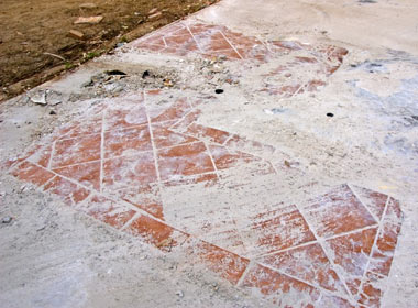 dsc_0109_sm.jpg