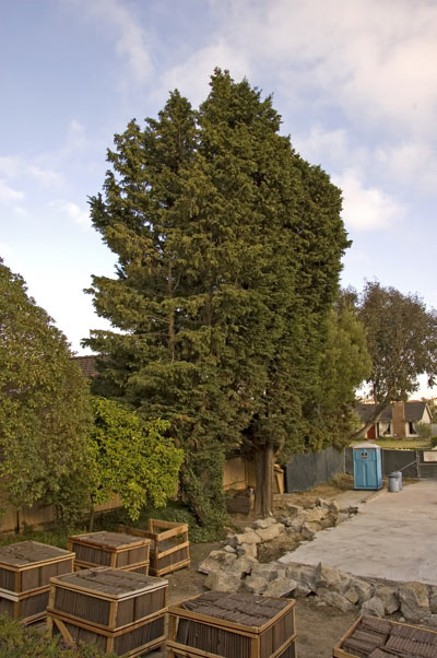 dsc_0137_small.jpg