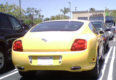 yellowbentley_small.jpg