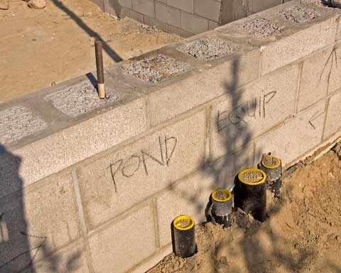 dsc_0087_med.jpg