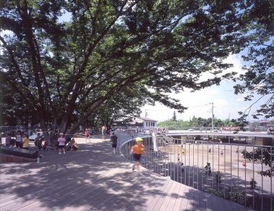 fuji.jpg
