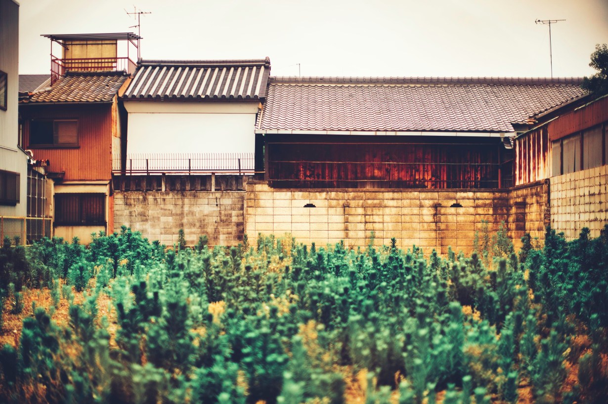 kyoto_june_2019_0006