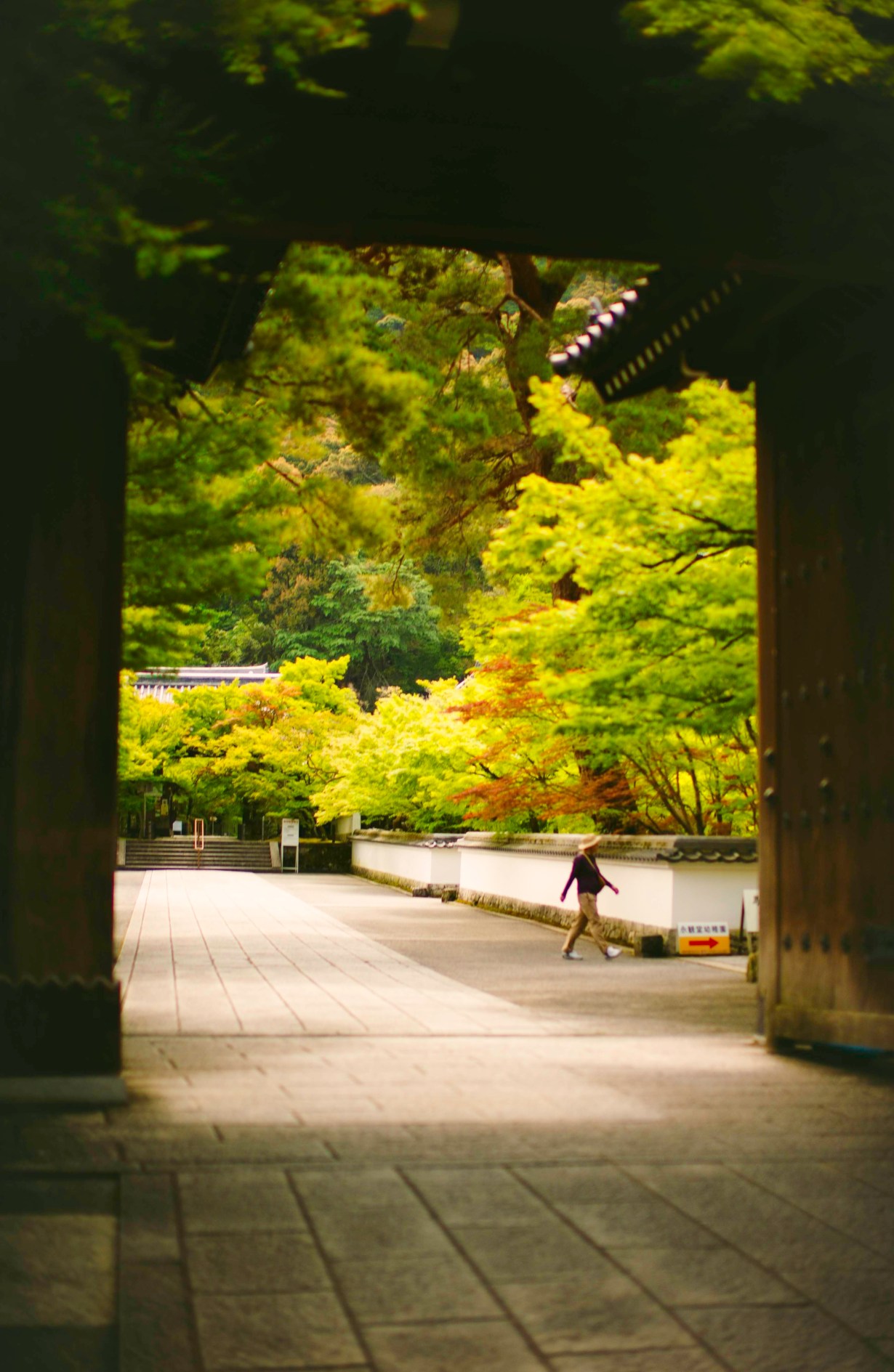 kyoto_june_2019_0078