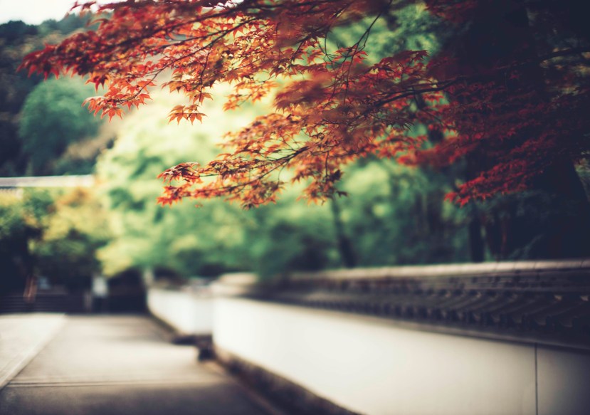 kyoto_june_2019_0080