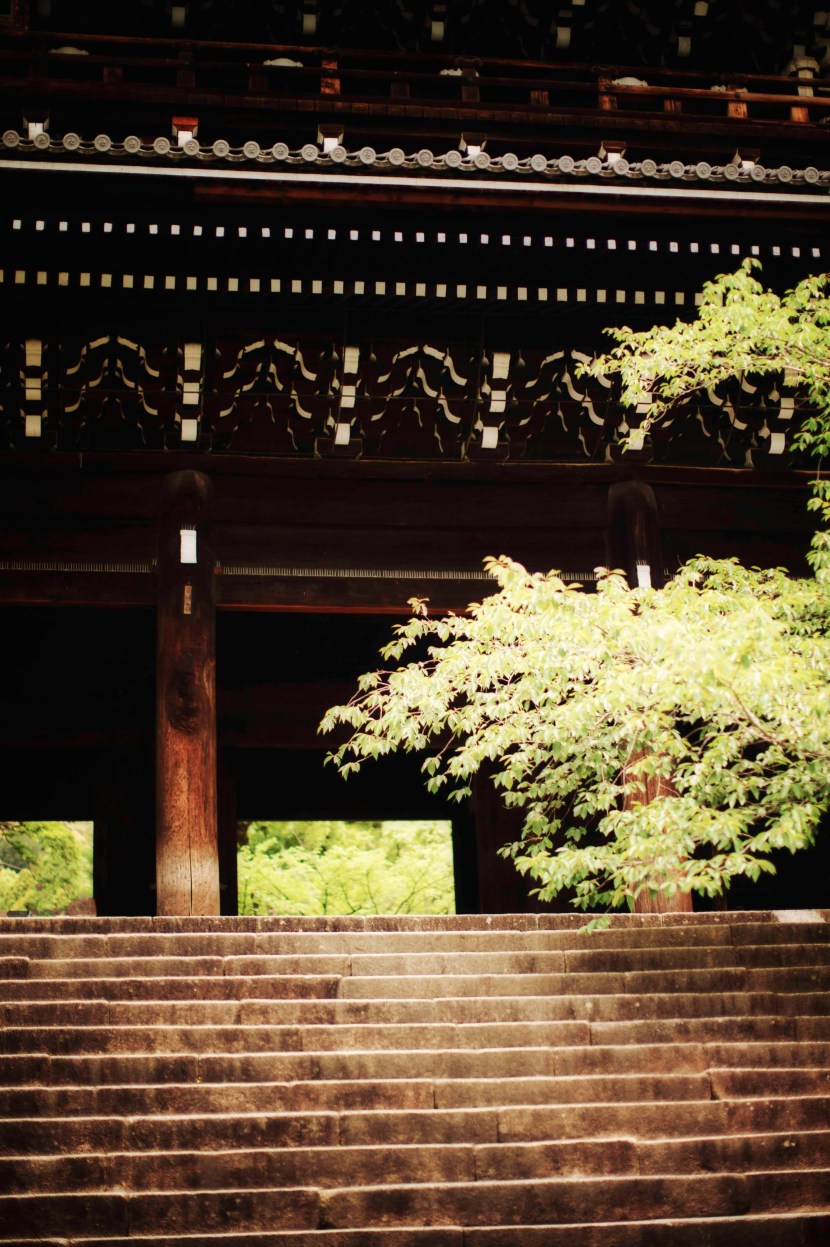 kyoto_june_2019_0115