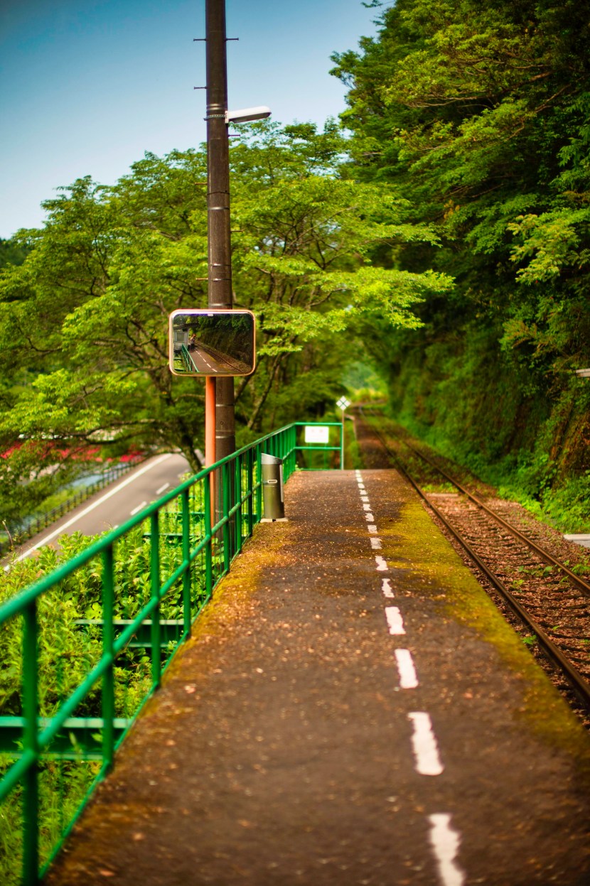 shimanto_june_2019_0080