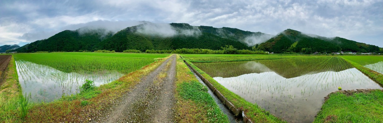 shimanto_june_2019_0098